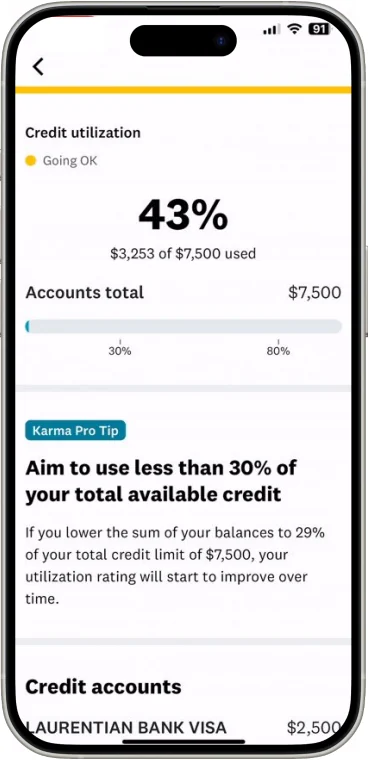 Credit utilisation detail screen showing 43% used, a progress bar and a Karma Pro Tip.